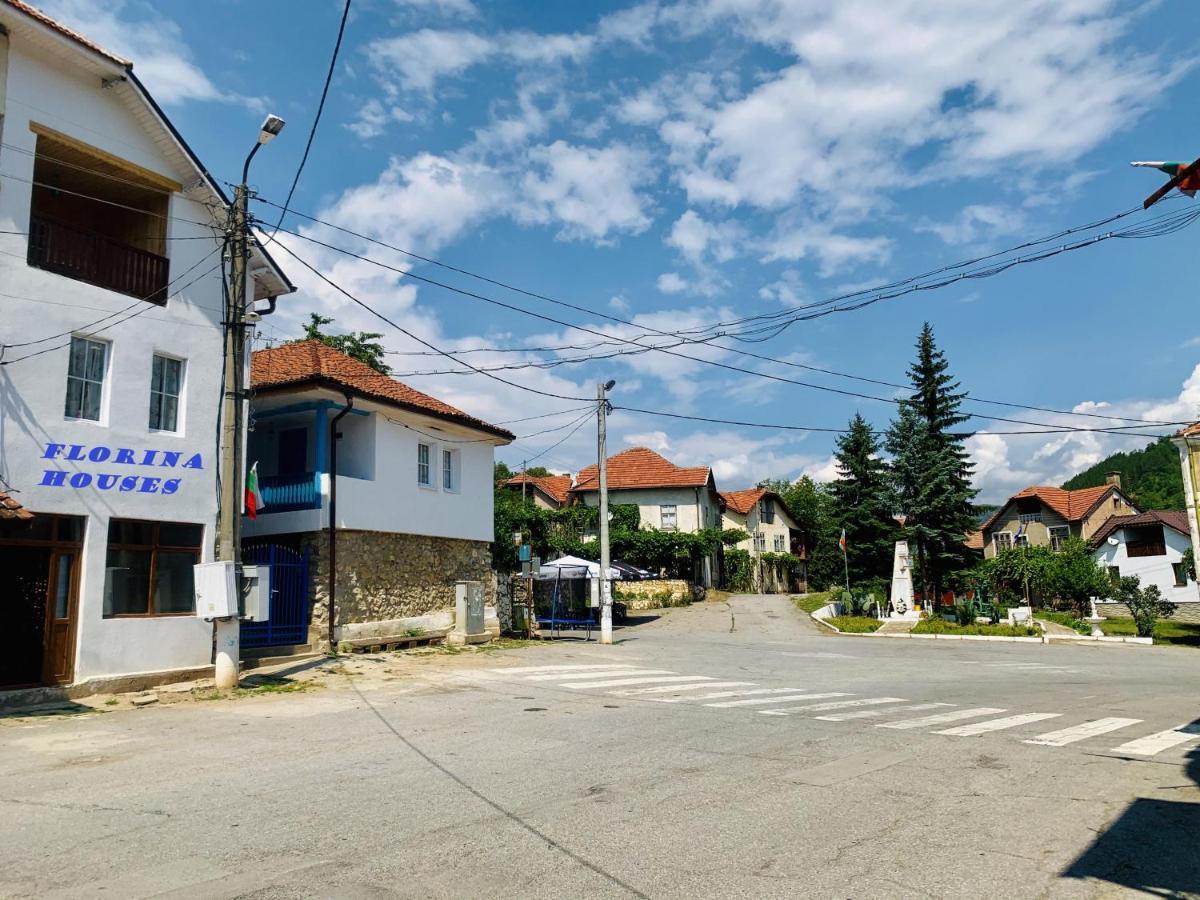 Отель Цяла Ваканционна Къща- Florina Houses Goranovtsi Экстерьер фото
